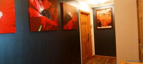 Outlander Boutique B&B King