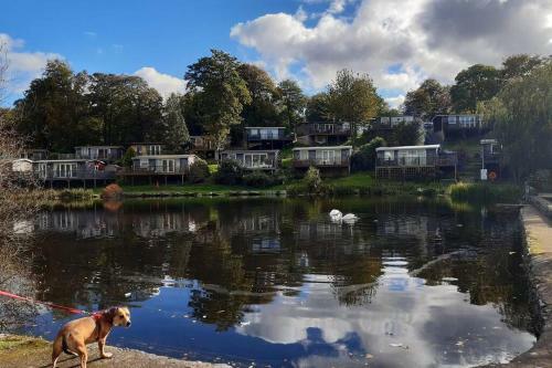 Chalet 174 Mill Stream, Glan Gwna Holiday Park