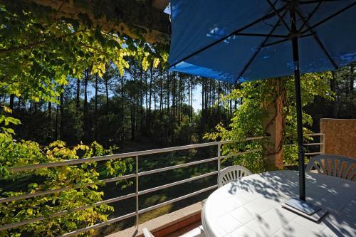 Apartamento Domaine De Pianiccia