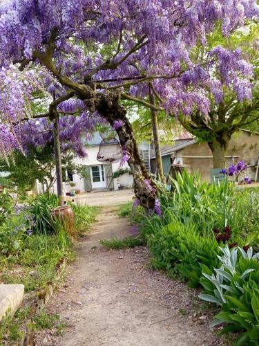 Bed & Breakfast La Ferme Aux Oies