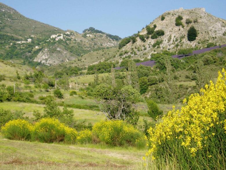 Bed & Breakfast Maison De Marguerite