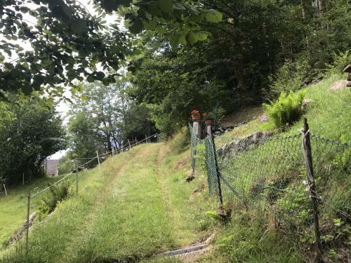 Apartamento Genzianella