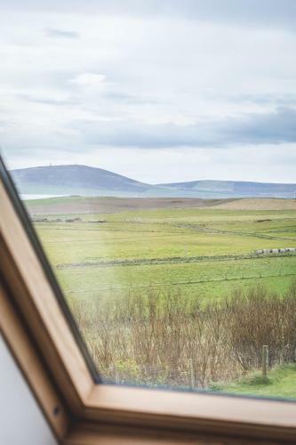 Aviedale Cottage B&B