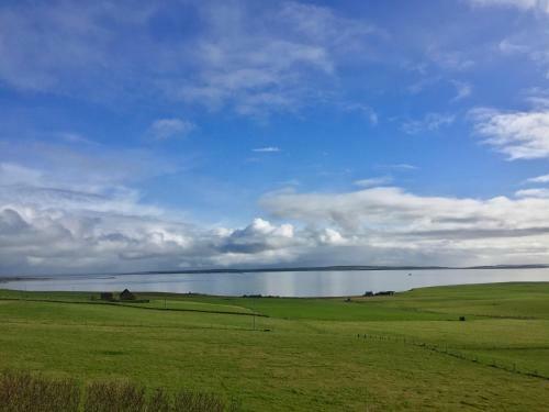 Aviedale Cottage B&B