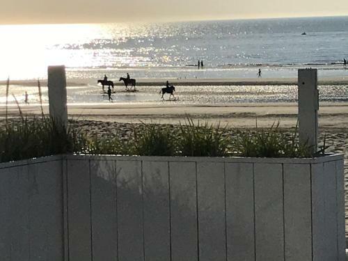 Apartamento Nieuwpoort