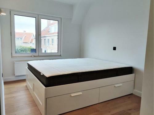 Apartamento Catalina 203