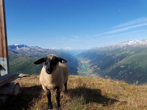 Apartamento Alpensonne