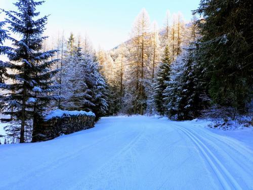 Apartamento Alpensonne