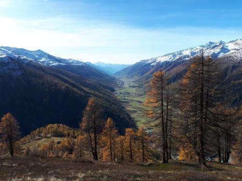 Apartamento Alpensonne