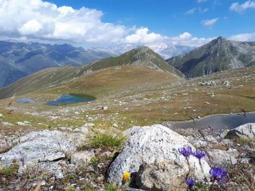 Apartamento Alpensonne