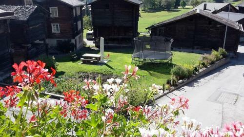 Apartamento Alpensonne