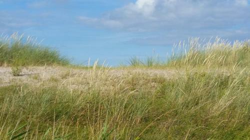 Apartamento Ferienwohnung Strandgut