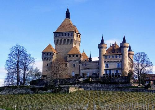 Hostal Guest House La Sereine