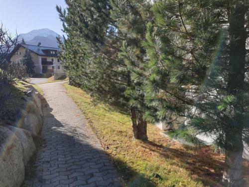 Apartamento Chesa Staz