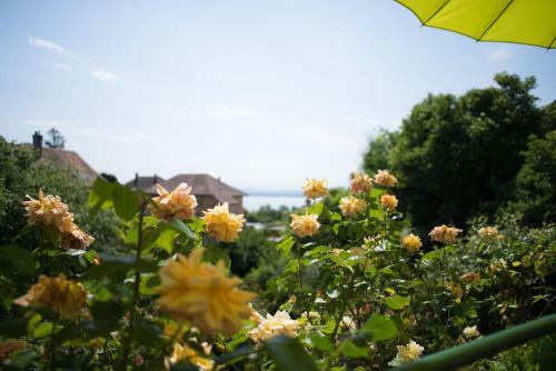 Posada H�tel De La B�roche