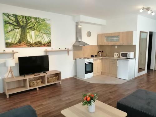 Apartm�ny U St?�brn�ch