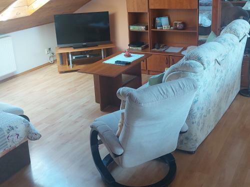 Apartm�n V Rodinn�m Dom?