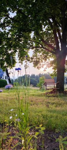 Apartamento Fewo Vor Dem Berg