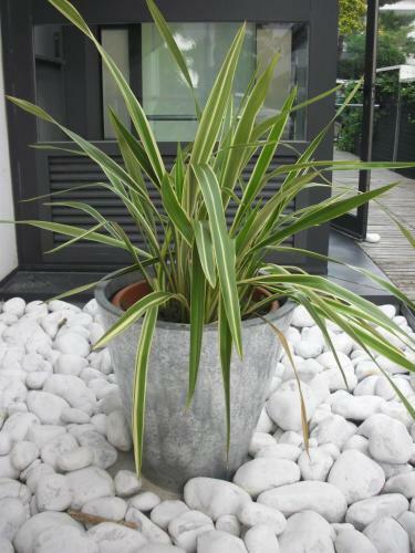 Hotel Garden