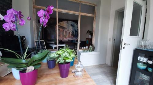 Bed & Breakfast 't Zandmanneke