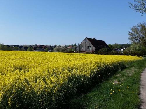 Apartamento Ferienvermietung Meerlandliebe