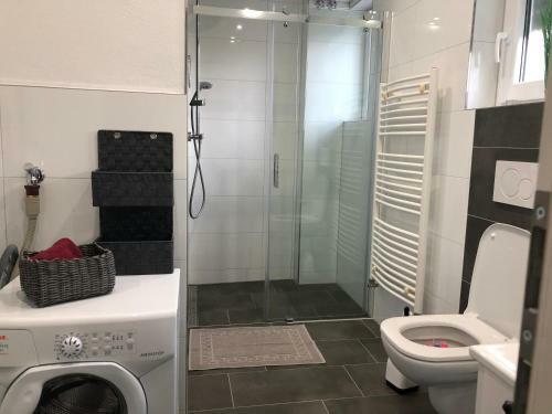 Apartamento Ferienwohnung Rheinfelden (Beuggen)