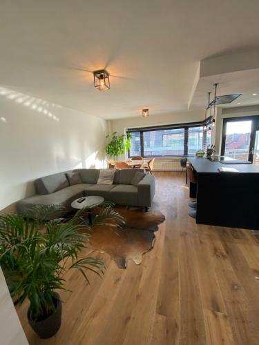 Apartamentos Casa Leon