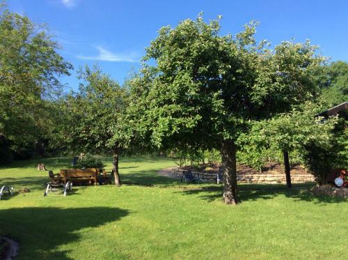 Hostal Ferien-wein-gut Keifer