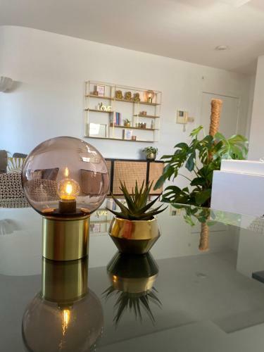 Apartamento ?t Z��manskot