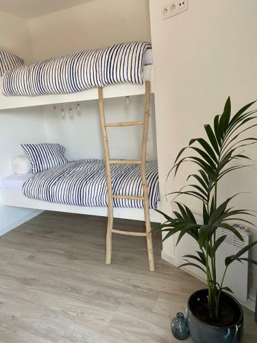 Apartamento ?t Z��manskot