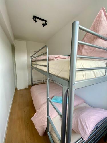 Luxury Apartment Renovated In 2021