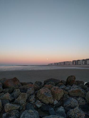 Apartamento Splendid Seaview