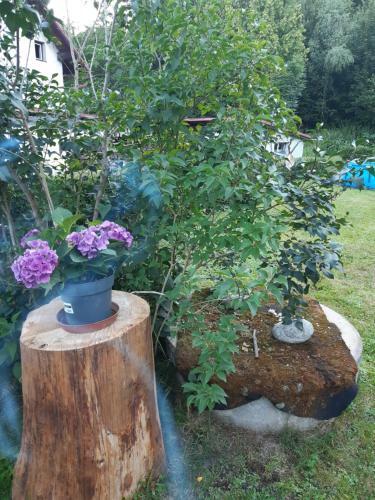 Apartm�n Rydvalovi