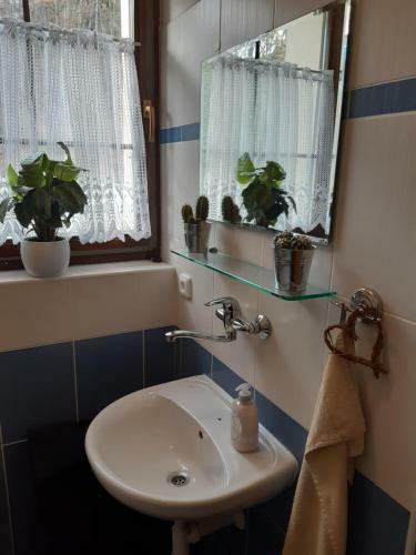 Apartm�n Rydvalovi