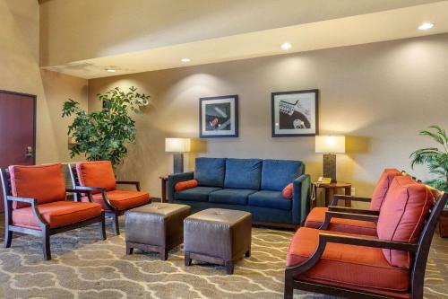 Hotel Comfort Suites Univ. Of Phoenix Stadium Area