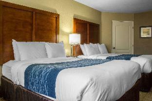 Hotel Quality Inn & Suites At Talavi