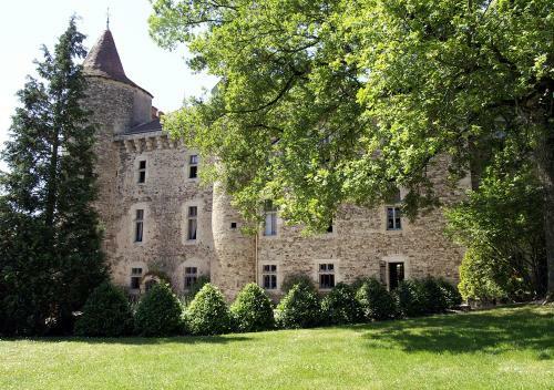Hotel Chateau De Codignat