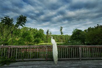 Hotel Highland Lake Inn & Resort - Flat Rock