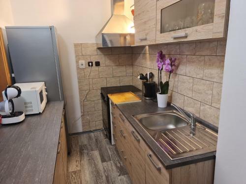 Hostal Penzion U Vleku