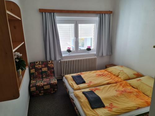 Hostal Penzion U Vleku