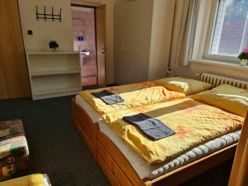 Hostal Penzion U Vleku