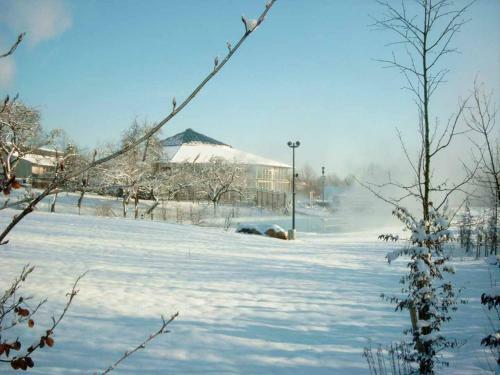 Hostal Pension Irene Nist
