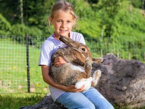 Agroturismo Bognerlehen