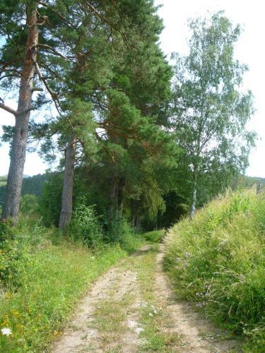 Wolfs Ferienhaus - Nat�rlich Eifel