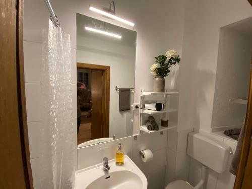 Apartment Ahrquelle Im Posthalterhof Mit Sauna