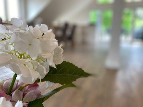 Apartamento Ferienwohnung K�hler