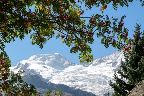 Apartamento Am Biel Saas-fee