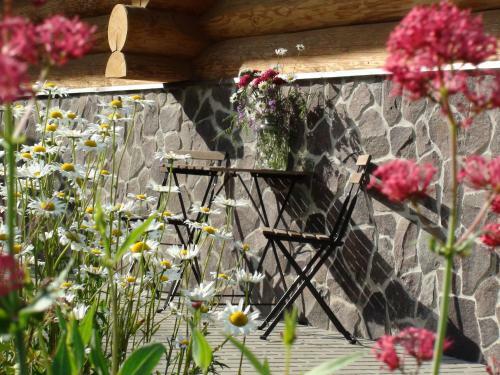 Srub Javorn� - Apartm�ny ?umava