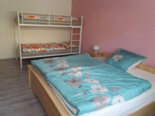 Apartm�n J�chymov Kru?n� Hory