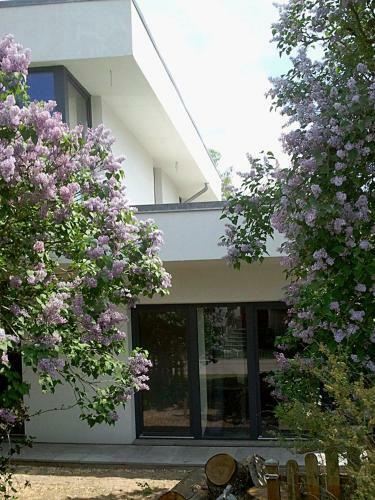Posada Pension An Der Elsterbr�cke